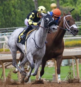 sporta betting in Indonesia